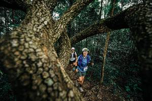 BIB: 
                            <button type="button" onclick="openModal(25393329)" class="btn btn-primary btn-sm float-right btn-popup" data-toggle="modal" data-target=".modal-high-quality">
                        <i class="fas fa-shopping-cart"></i> Add to Cart
                    </button>
                                            <button type="button" onclick="isThisMe(25393329, true)" class="btn btn-success btn-sm float-right btn-popup btn-isme hidden" data-toggle="tooltip" data-placement="bottom" title="นี่คือรูปของคุณใช่ไหม คลิกที่นี่เพื่อเอาเข้าอัลบั้ม">
                        <i class="fas fa-plus"></i> Add to album
                    </button>
                    <button type="button" onclick="isThisMe(25393329, false)" class="btn btn-warning btn-sm float-right btn-popup btn-isnotme hidden">
                        <i class="fas fa-ban"></i> Remove from album
                    </button>